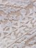 Ковер AMELI 9255A S.BEIGE/P.WHITE