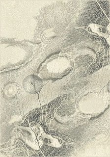 Ковер Isfahan Bellona pearl